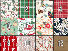 Load image into Gallery viewer, 10/11 Christmas in July
